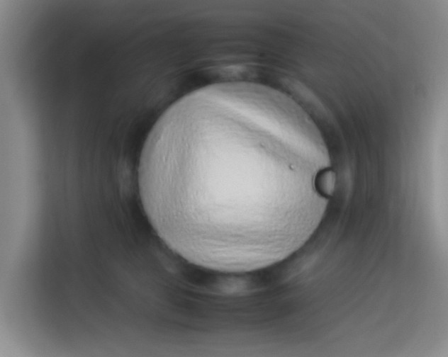 X0000113640469200910091540