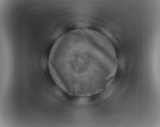 X0000113640474200910091540