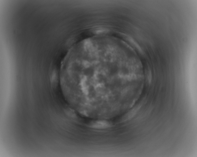 X0000113640475200910091540