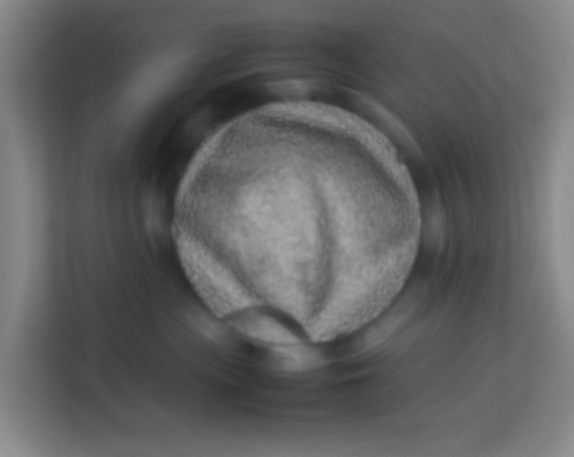 X0000113640477200910091540