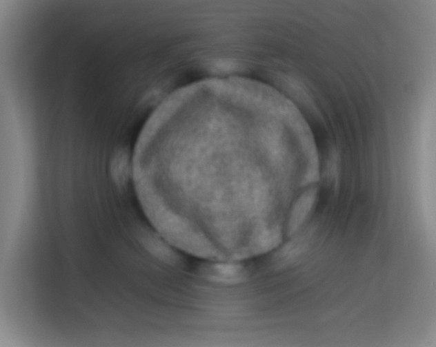 X0000113640478200910091540