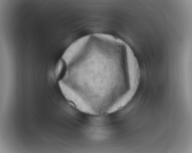 X0000113640479200910091540