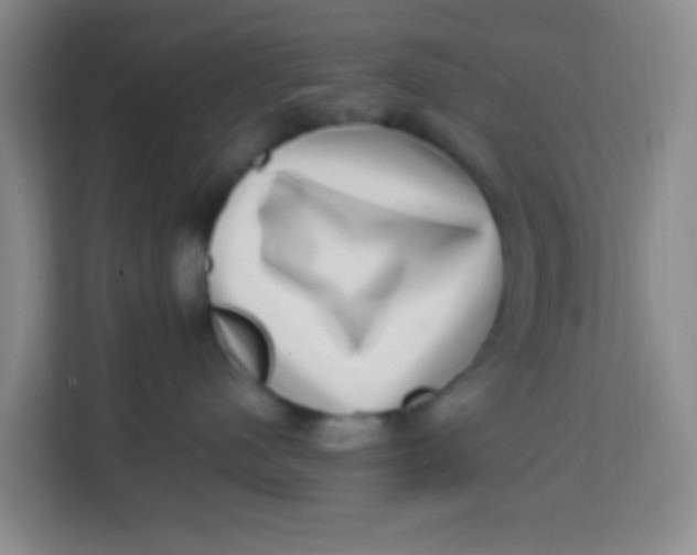 X0000113640480200910091540