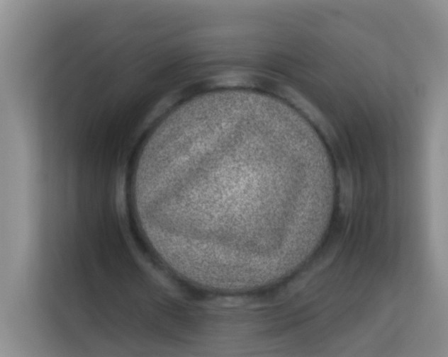 X0000113640482200910091540