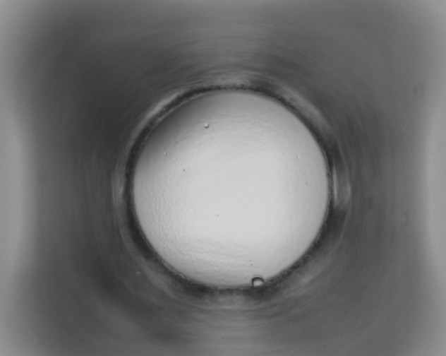 X0000113640483200910091540