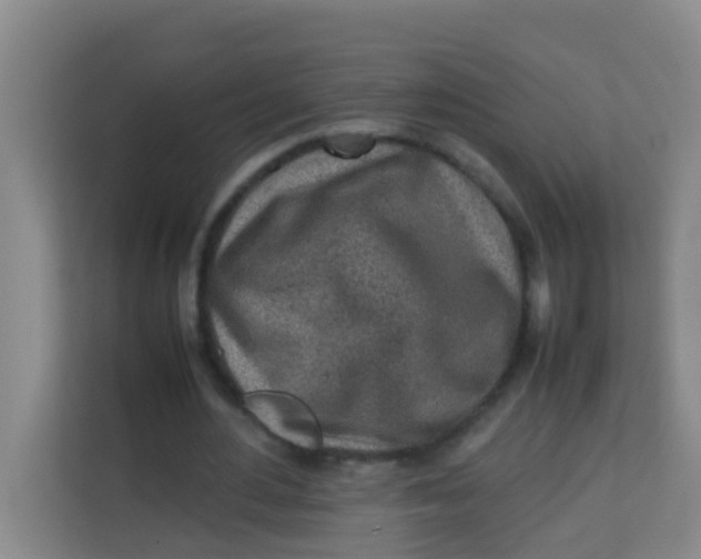 X0000113640484200910091540