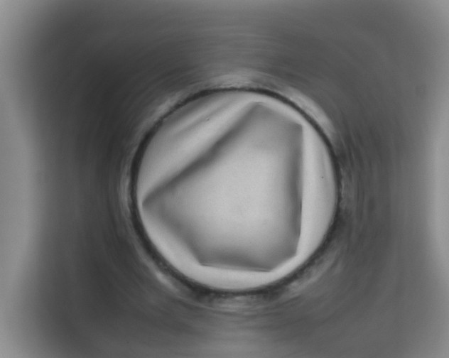 X0000113640485200910091540