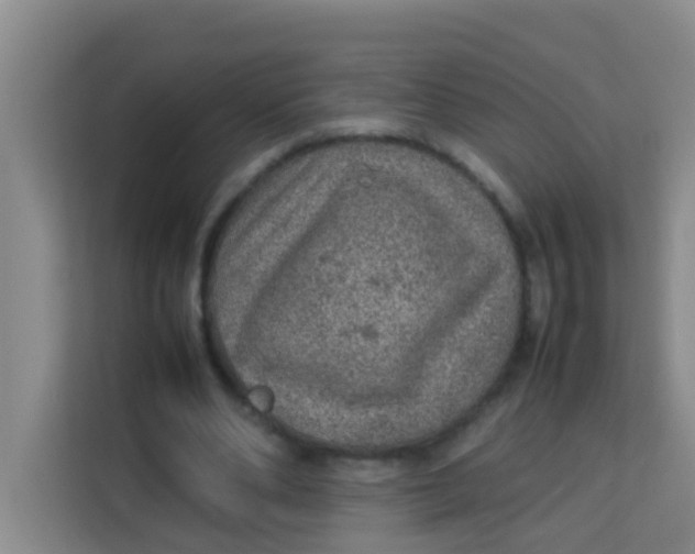 X0000113640486200910091540