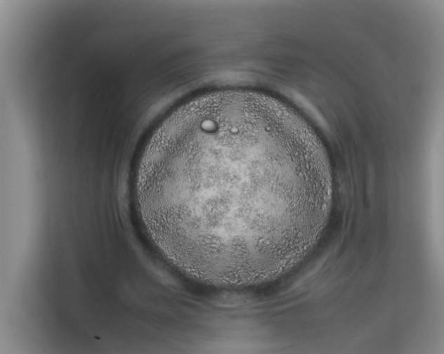 X0000113640487200910091540