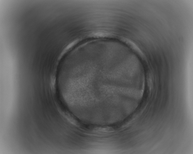 X0000113640488200910091540