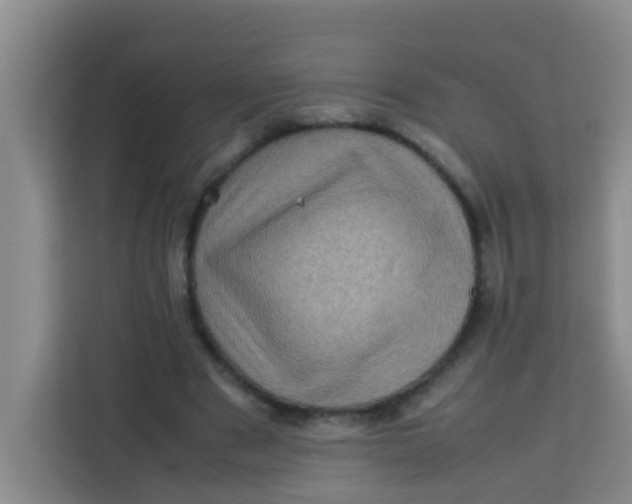 X0000113640489200910091540