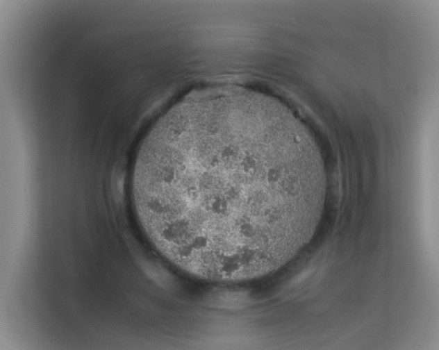 X0000113640491200910091539