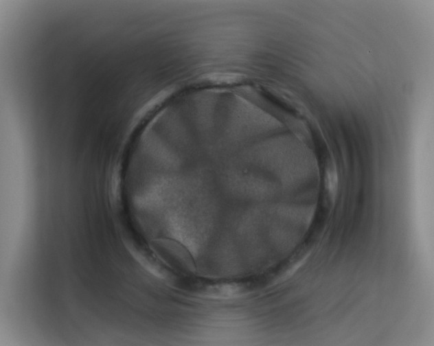 X0000113640492200910091539