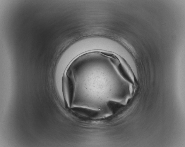 X0000113640493200910091539