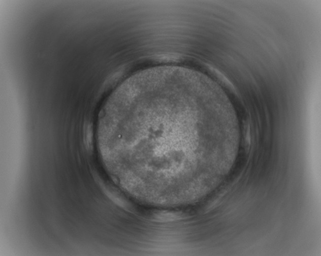 X0000113640494200910091539