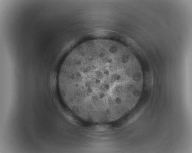 X0000113640495200910091539