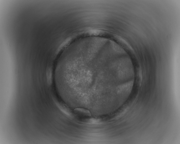 X0000113640496200910091539