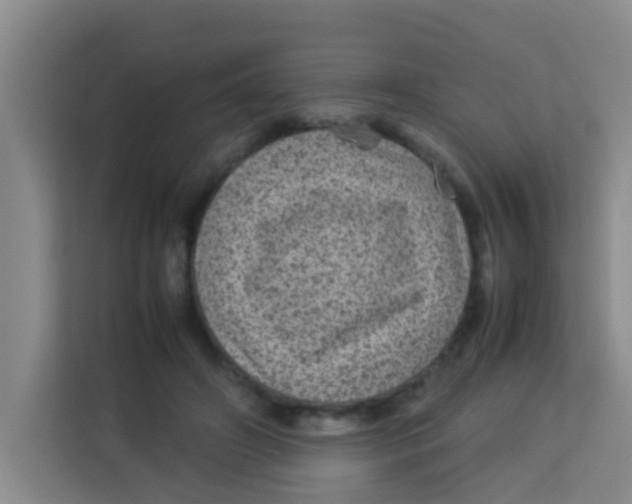 X0000113640498200910091539