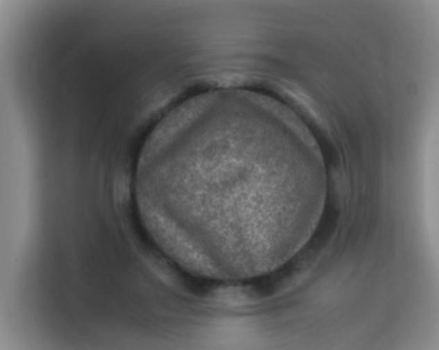 X0000113640499200910091539