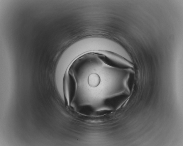 X0000113640500200910091539