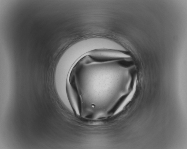 X0000113640501200910091539