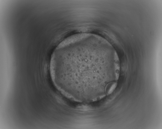 X0000113640503200910091539