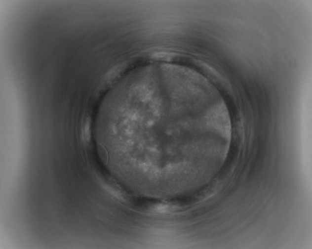 X0000113640504200910091539