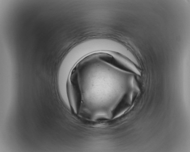 X0000113640505200910091539