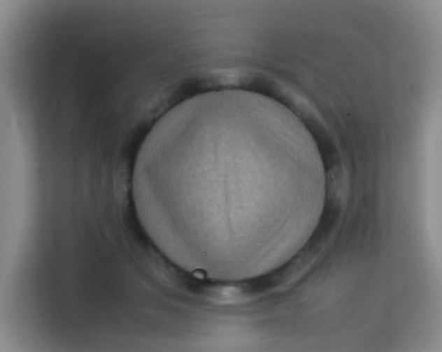 X0000113640509200910091539