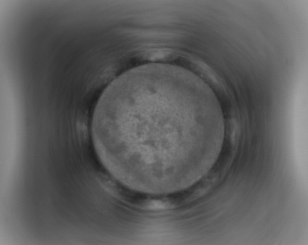 X0000113640510200910091539