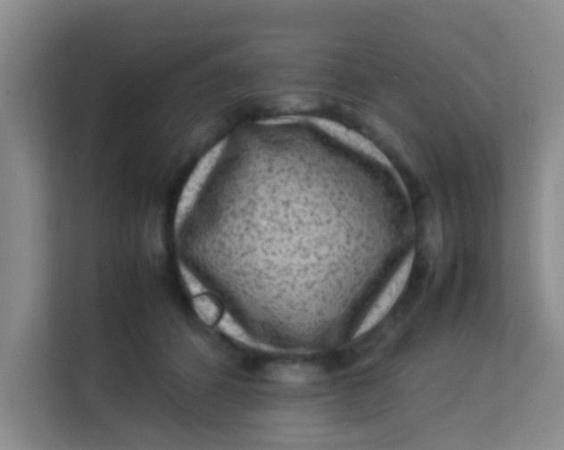 X0000113640512200910091539