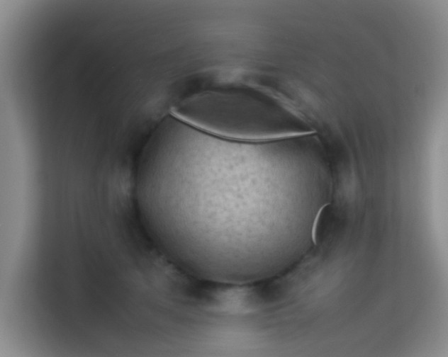 X0000113640513200910091539