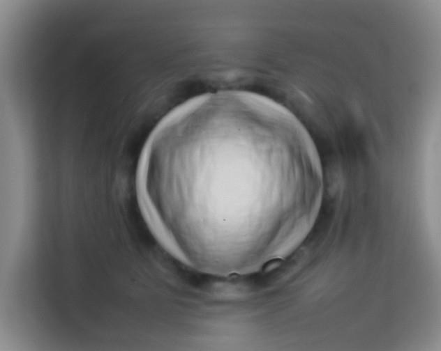 X0000113640515200910091539