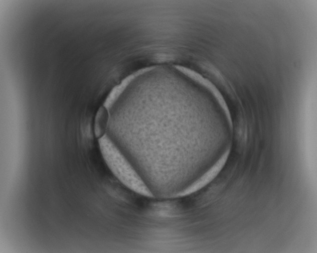 X0000113640516200910091539