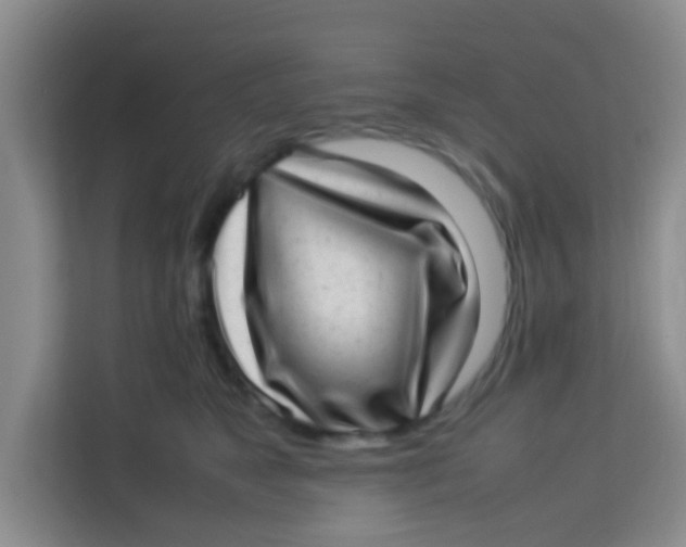 X0000113640517200910091539