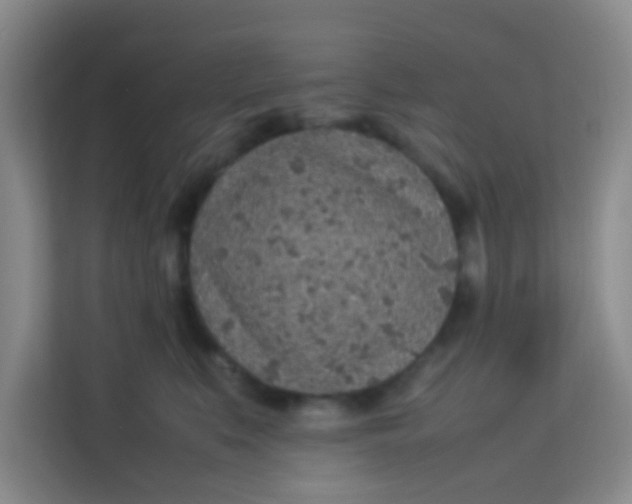 X0000113640519200910091539