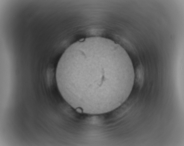 X0000113640522200910091539