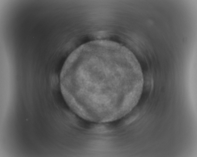 X0000113640523200910091539