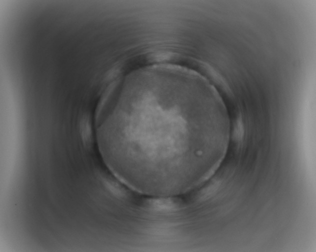 X0000113640524200910091539