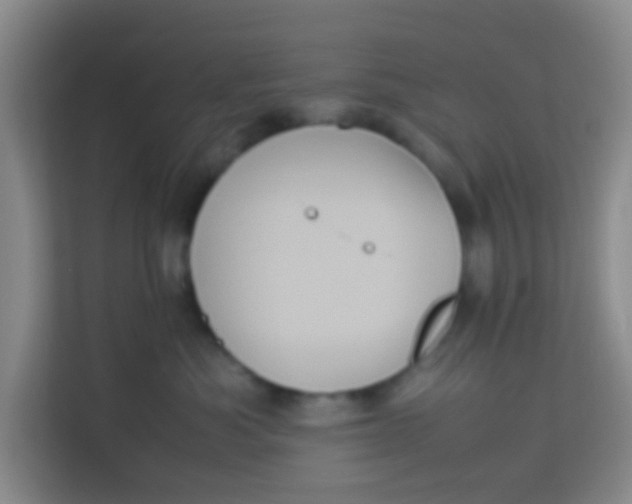 X0000113640525200910091539