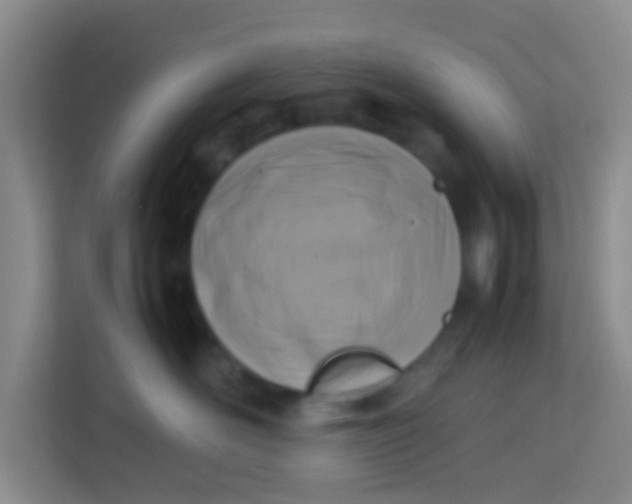 X0000113640526200910091539