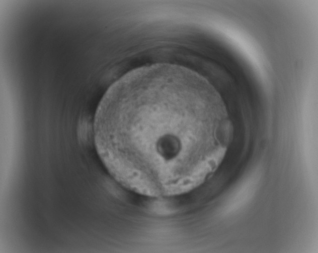 X0000113640527200910091539