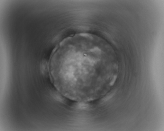 X0000113640528200910091539