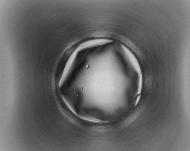 X0000113640530200910091538