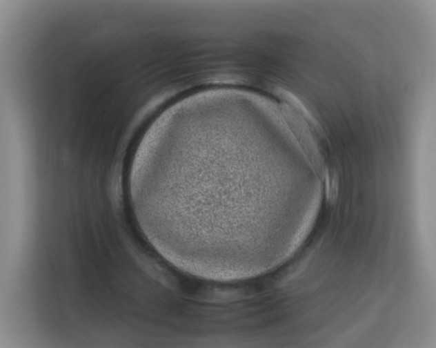 X0000113640531200910091538