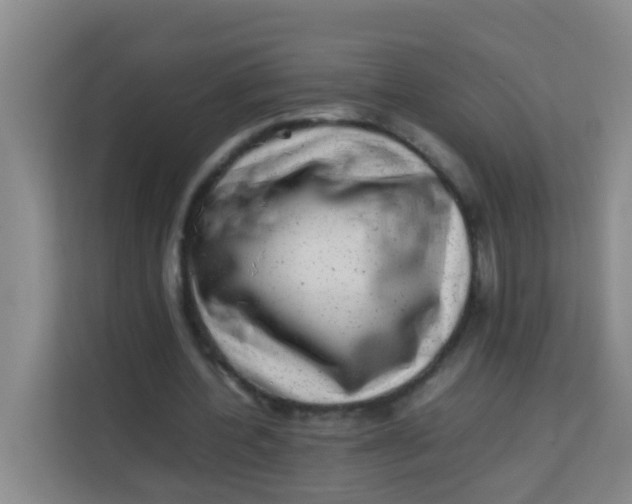 X0000113640532200910091538