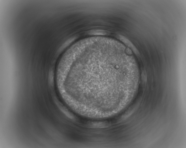 X0000113640533200910091538