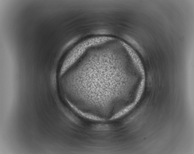 X0000113640535200910091538