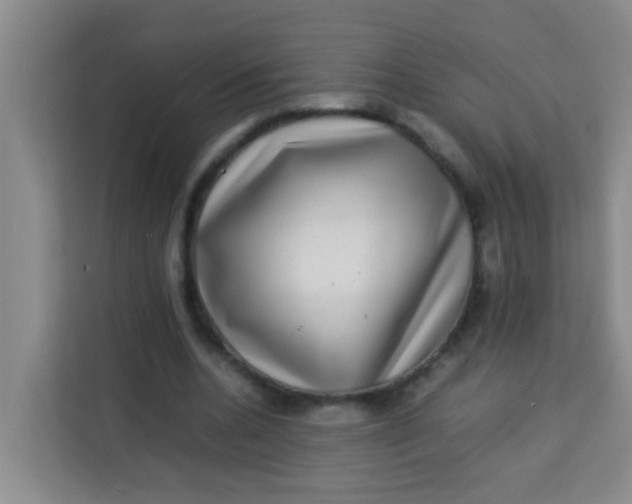 X0000113640536200910091538