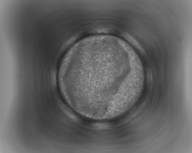 X0000113640537200910091539